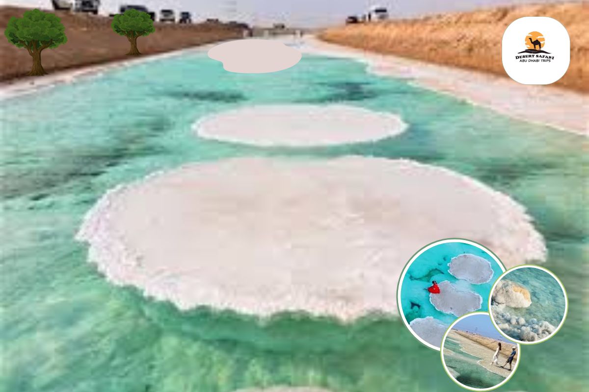 Best White Salt Lake Abu Dhabi