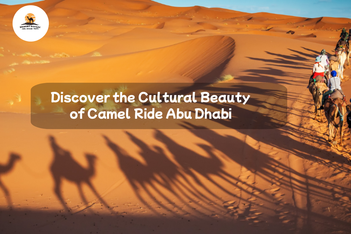 Discover the Cultural Beauty of Camel Ride Abu Dhabi