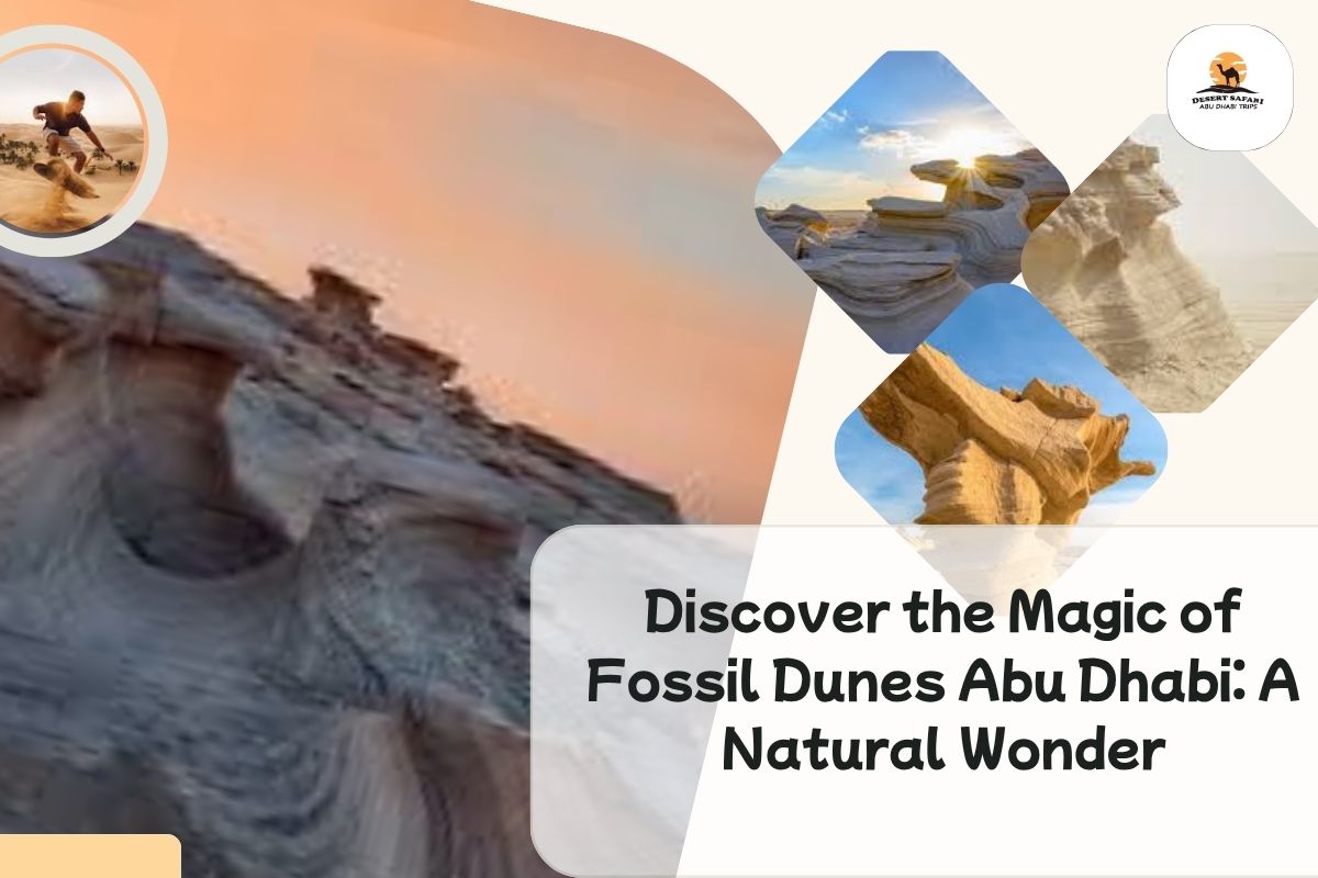 Fossil Dunes Abu Dhabi