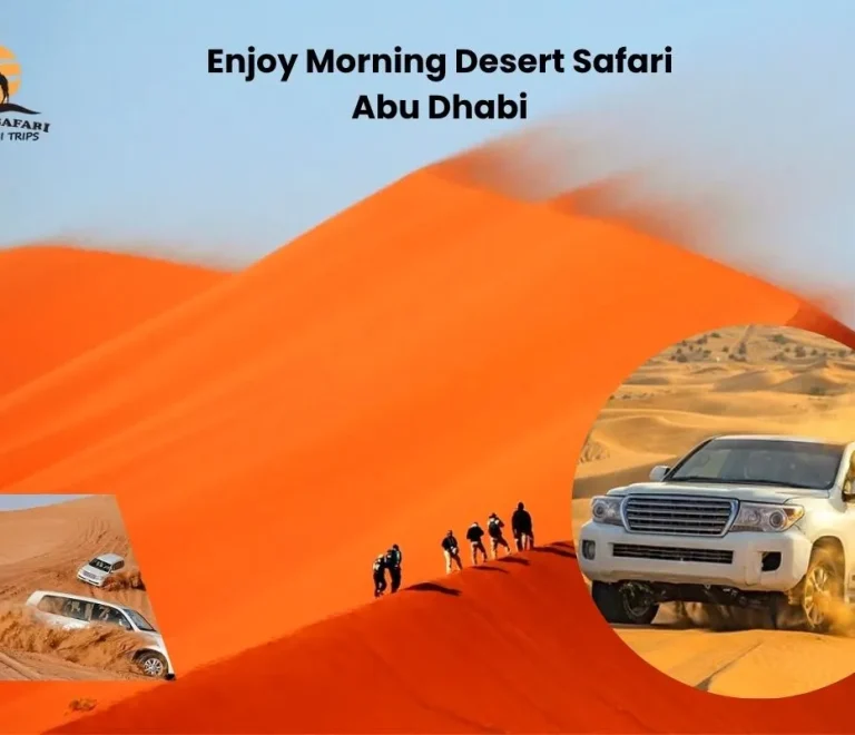 Morning Desert Safari Abu Dhabi
