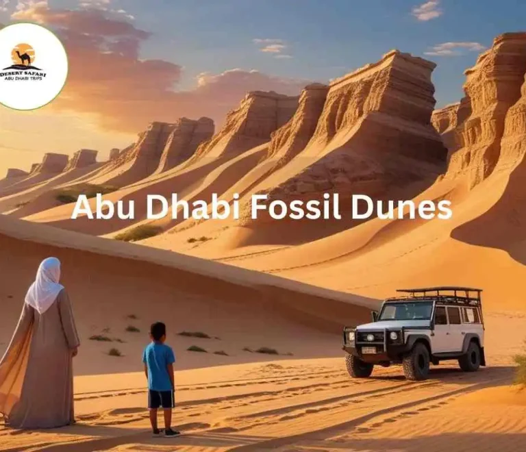Abu Dhabi Fossil Dunes