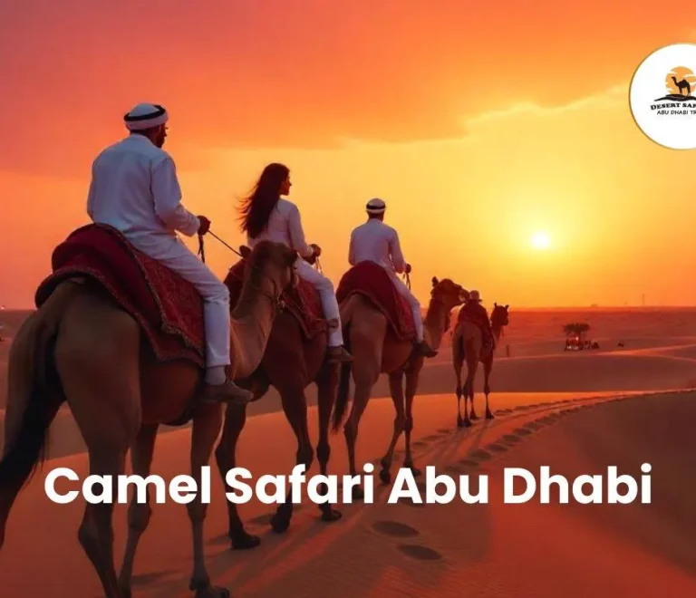 Camel Safari Abu Dhabi