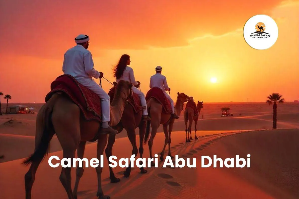 Camel Safari Abu Dhabi