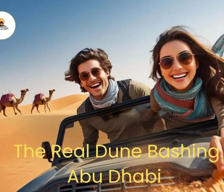 Desert Meets Adrenaline: The Real Dune Bashing Abu Dhabi Guide 1 Dune Bashing Abu Dhabi