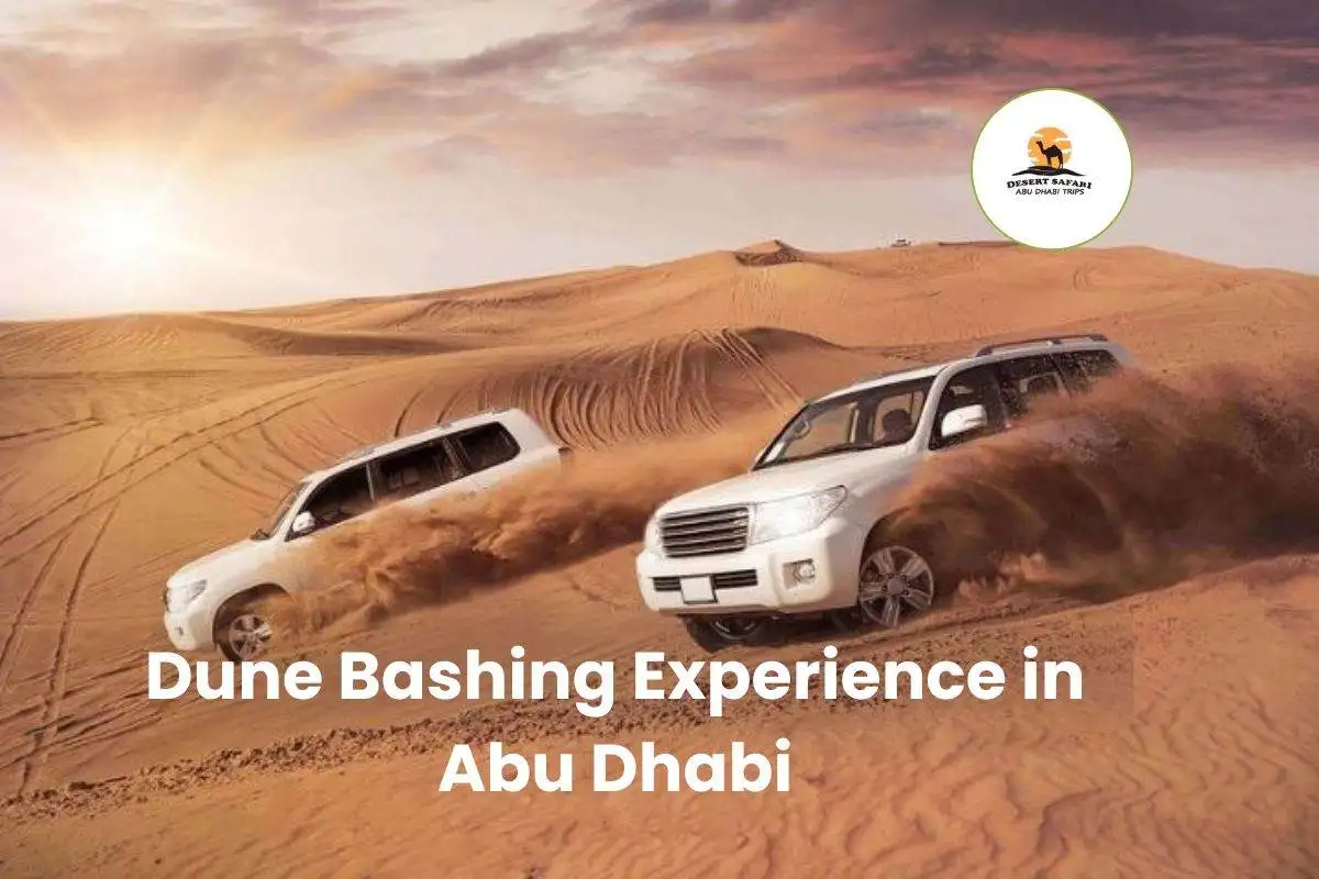 Dune Bashing Experience in Abu Dhabi