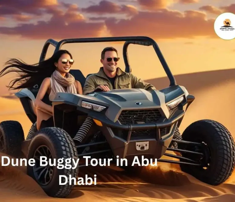 Dune Buggy Tour in Abu Dhabi