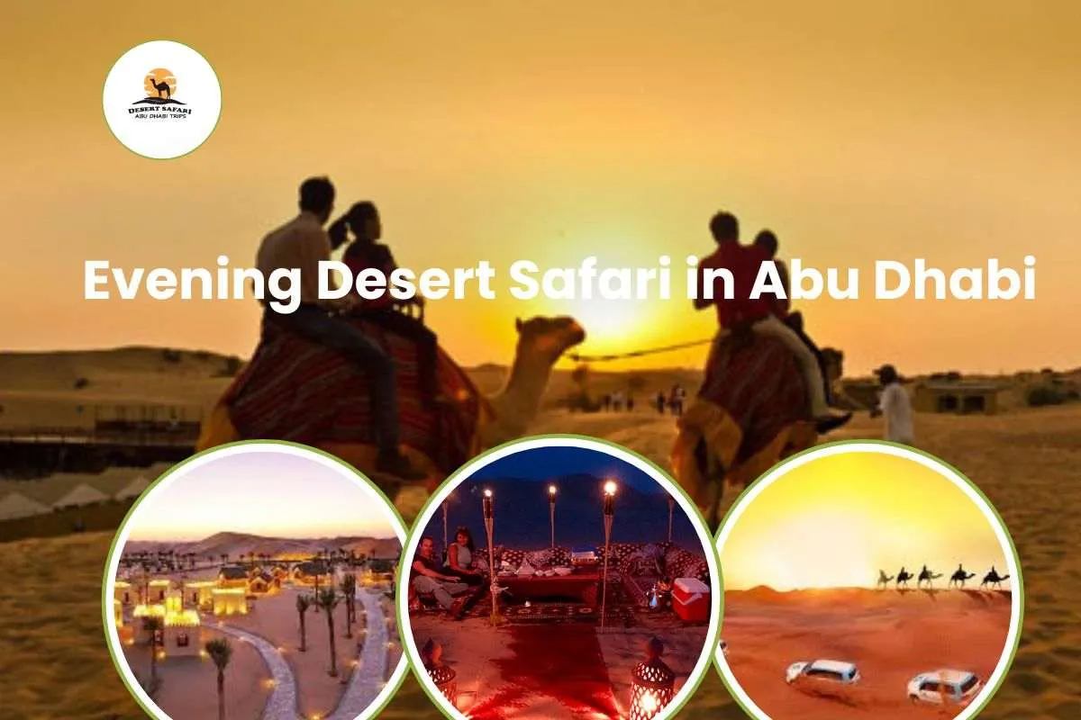 Evening Desert Safari in Abu Dhabi