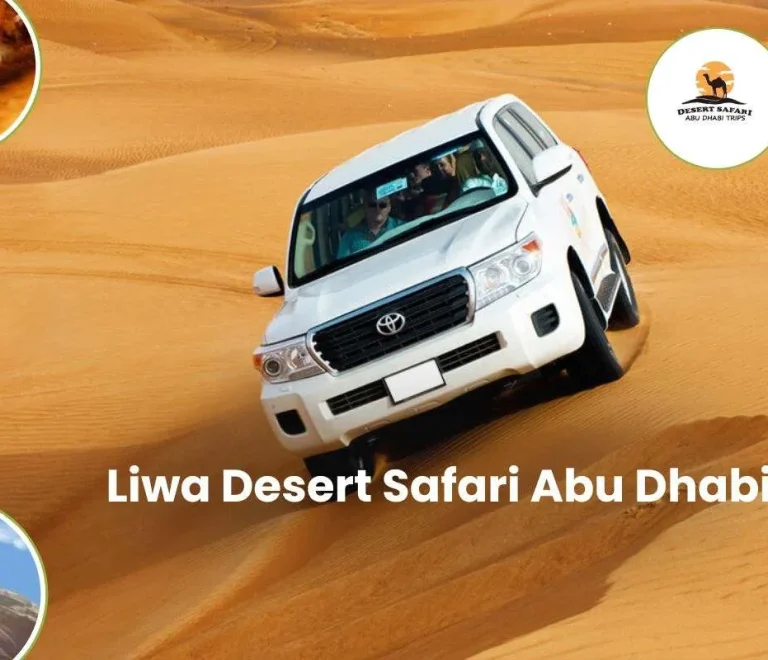 Liwa Desert Safari Abu Dhabi