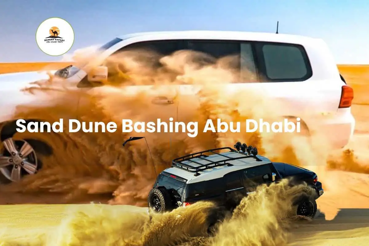 Sand Dune Bashing Abu Dhabi