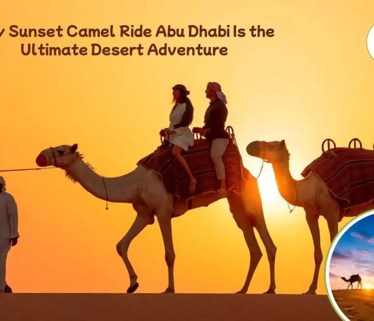 Sunset Camel Ride Abu Dhabi