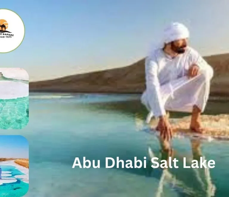abu dhabi salt lake